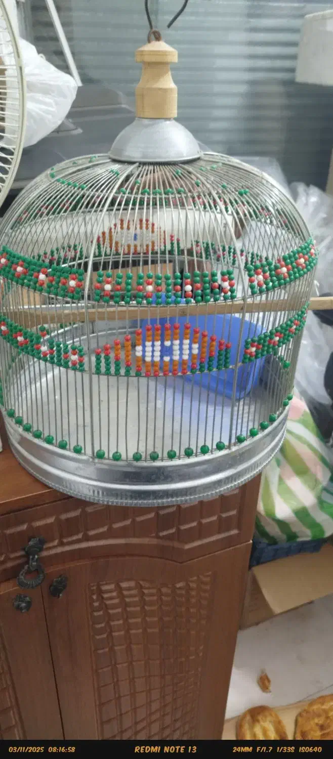 قفس پرنده نو و تمیز|لوازم جانبی حیوانات|ساری, |دیوار