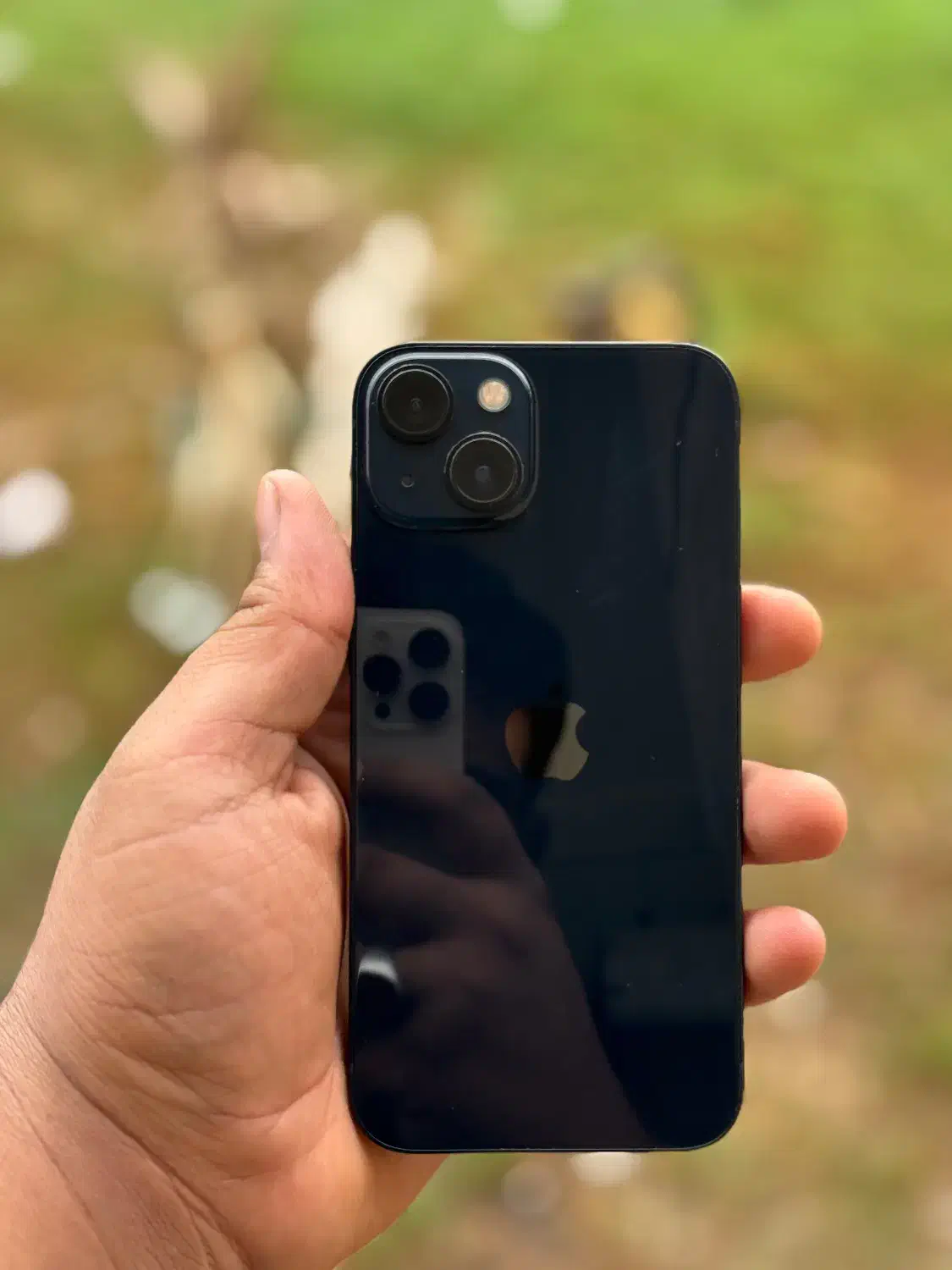 iPhone 13 normal|موبایل|آبادان, |دیوار