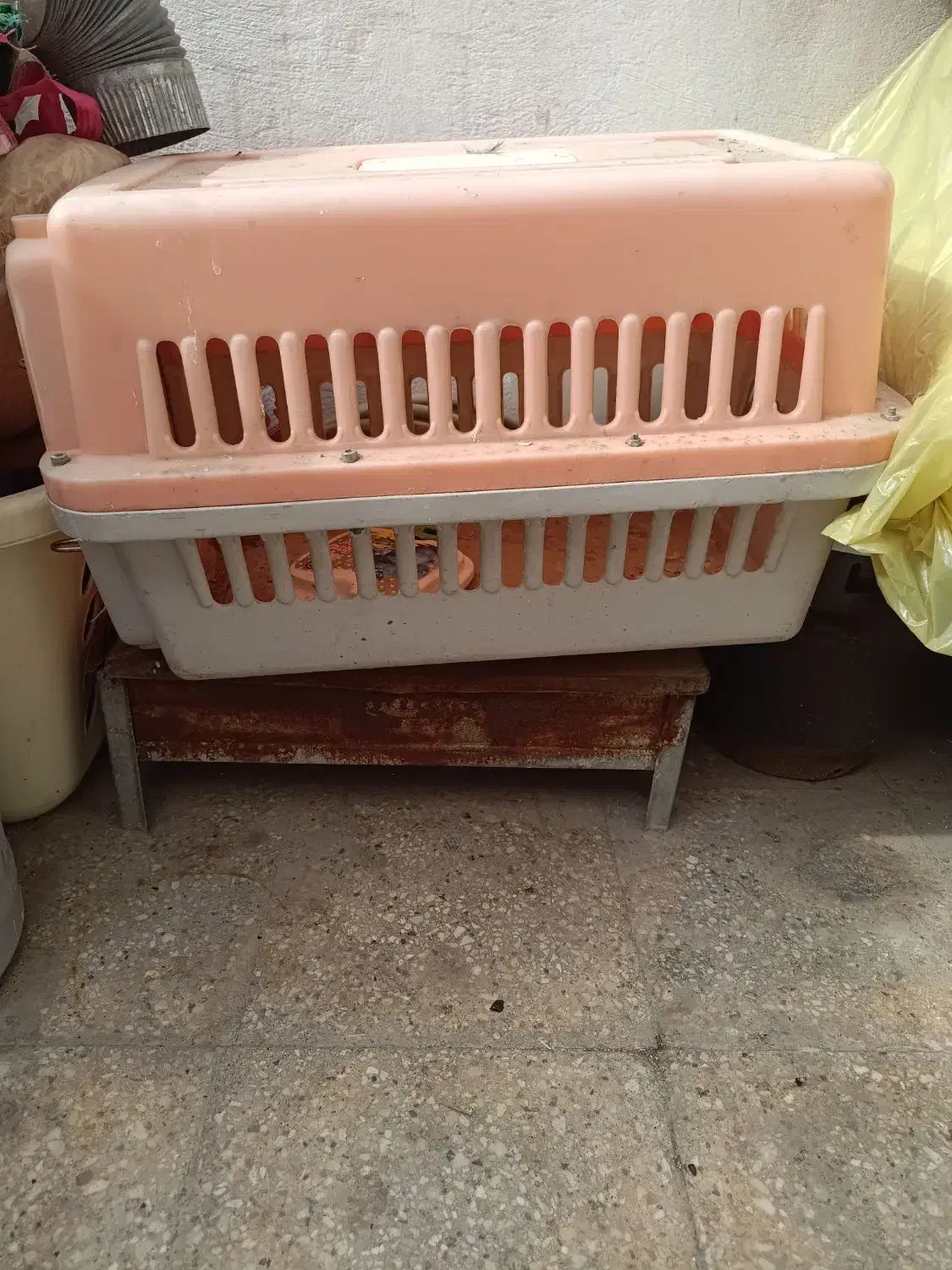 لونه سگ|لوازم جانبی حیوانات|پاکدشت, پاکدشت (مامازند)|دیوار