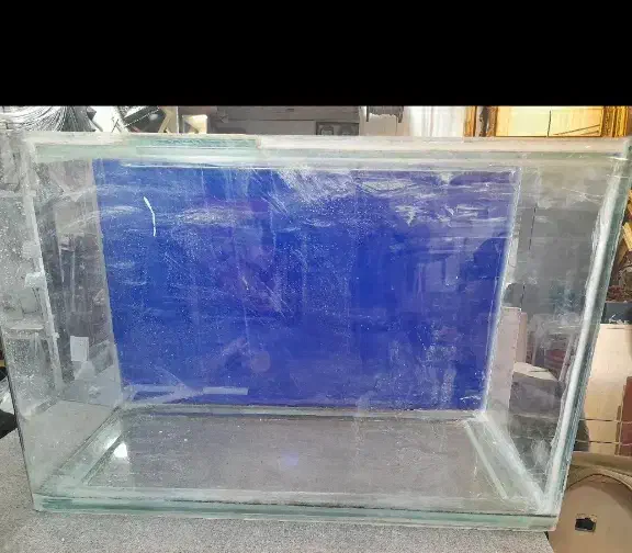 آکواریوم|ماهیگیری|کرج, فاز ۳ گوهردشت|دیوار