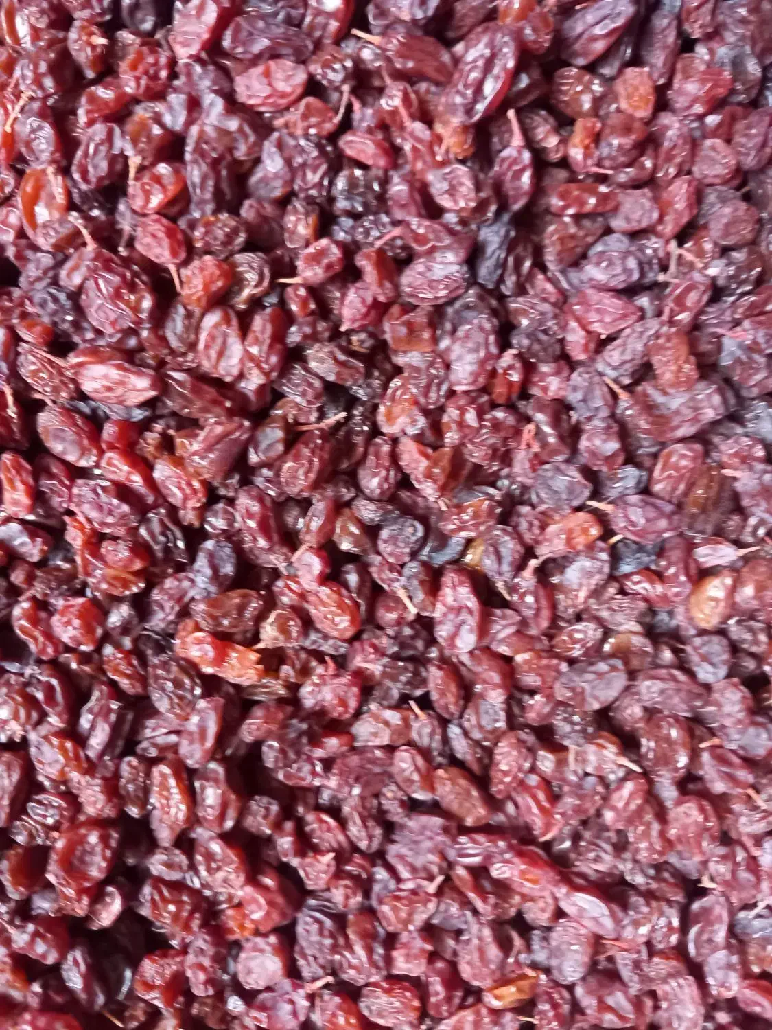 کشمش آفتابی خشک|خوردنی و آشامیدنی|قم, زند آباد|دیوار