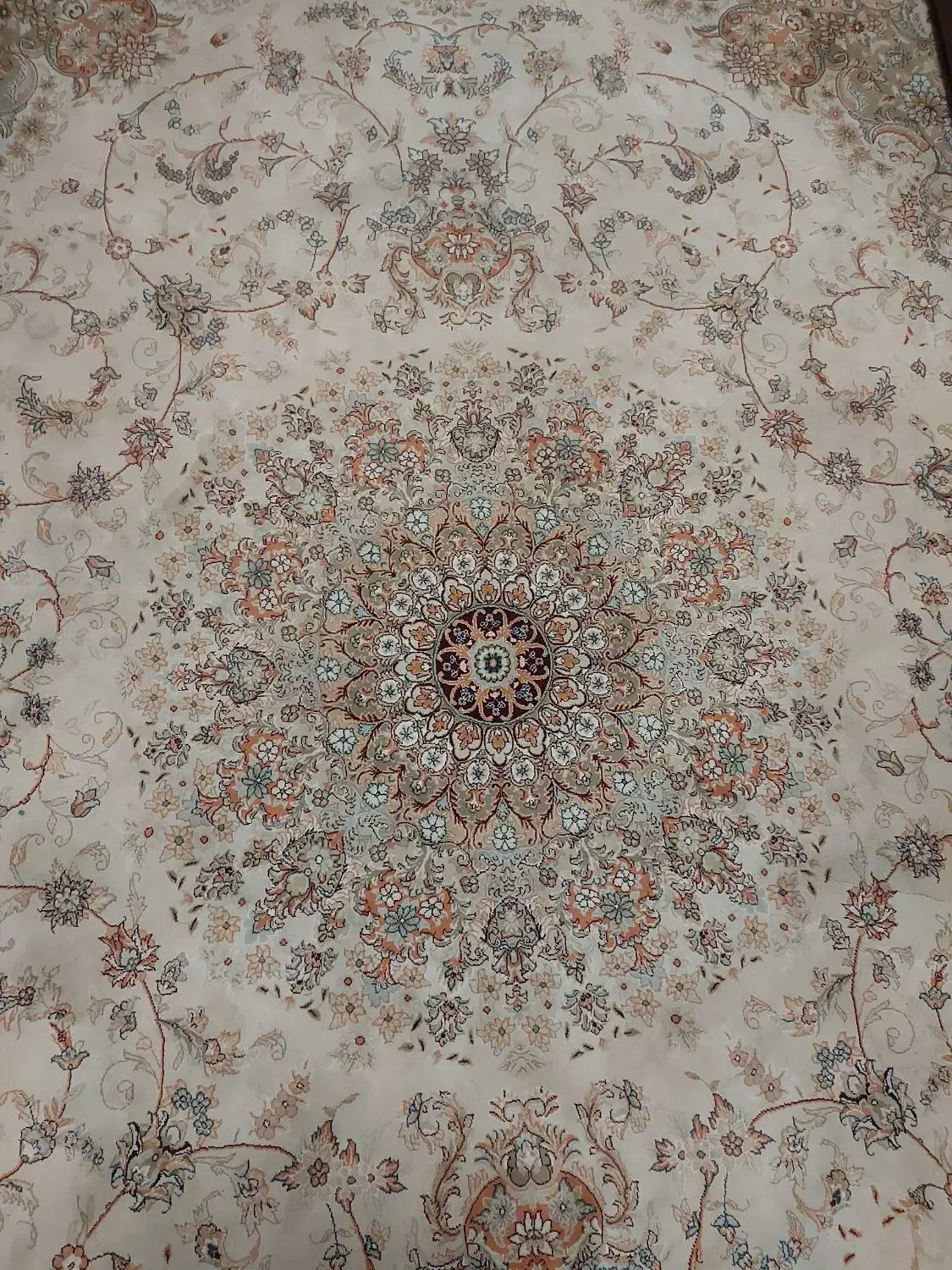 فرش|فرش|رشت, رودبارتان|دیوار