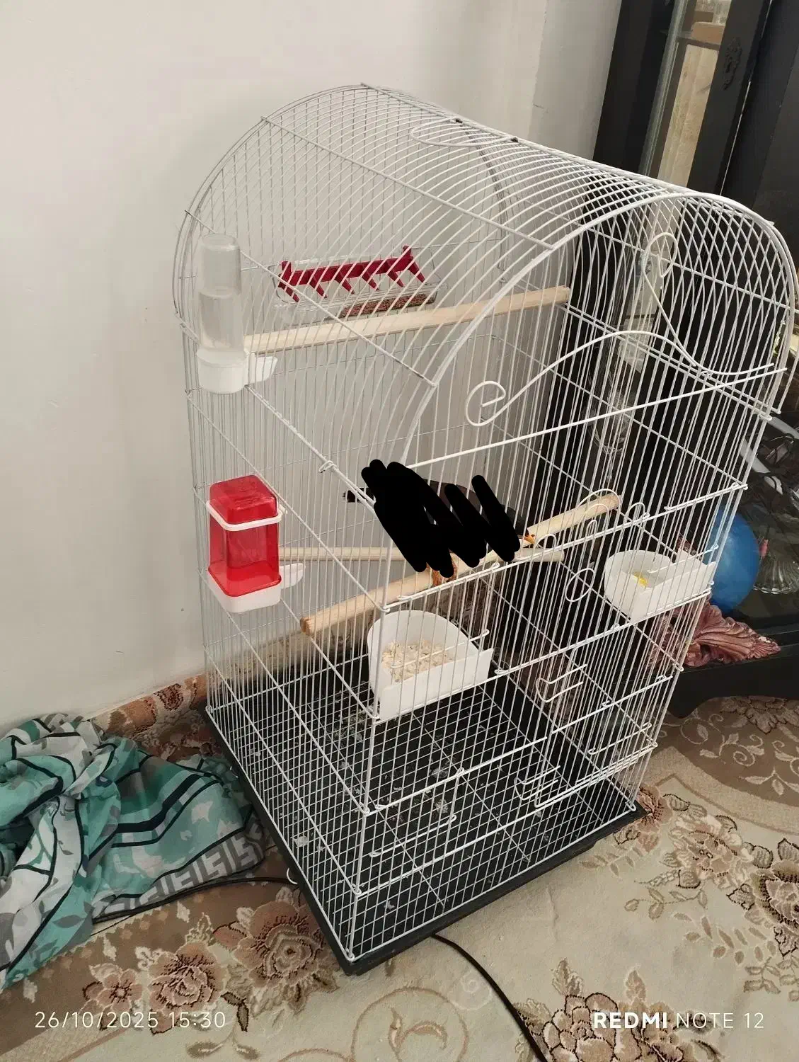 قفس پرنده|لوازم جانبی حیوانات|کرمانشاه, |دیوار