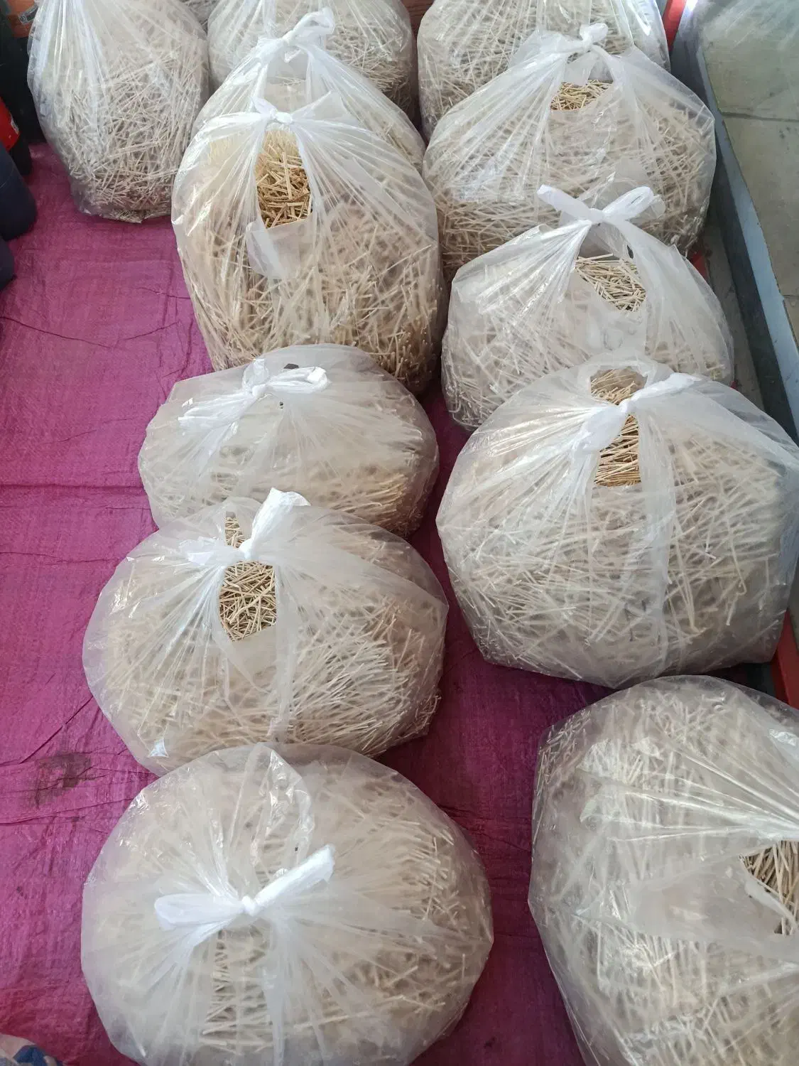 مرکز پخش رشته و شیره انگور|عمدهفروشی|میاندوآب, |دیوار