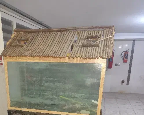 شیشه آکواریوم|ماهی|اصفهان, ارداجی|دیوار