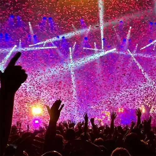 بلیط کنسرت|بلیت کنسرت|شیراز, دشت چنار|دیوار