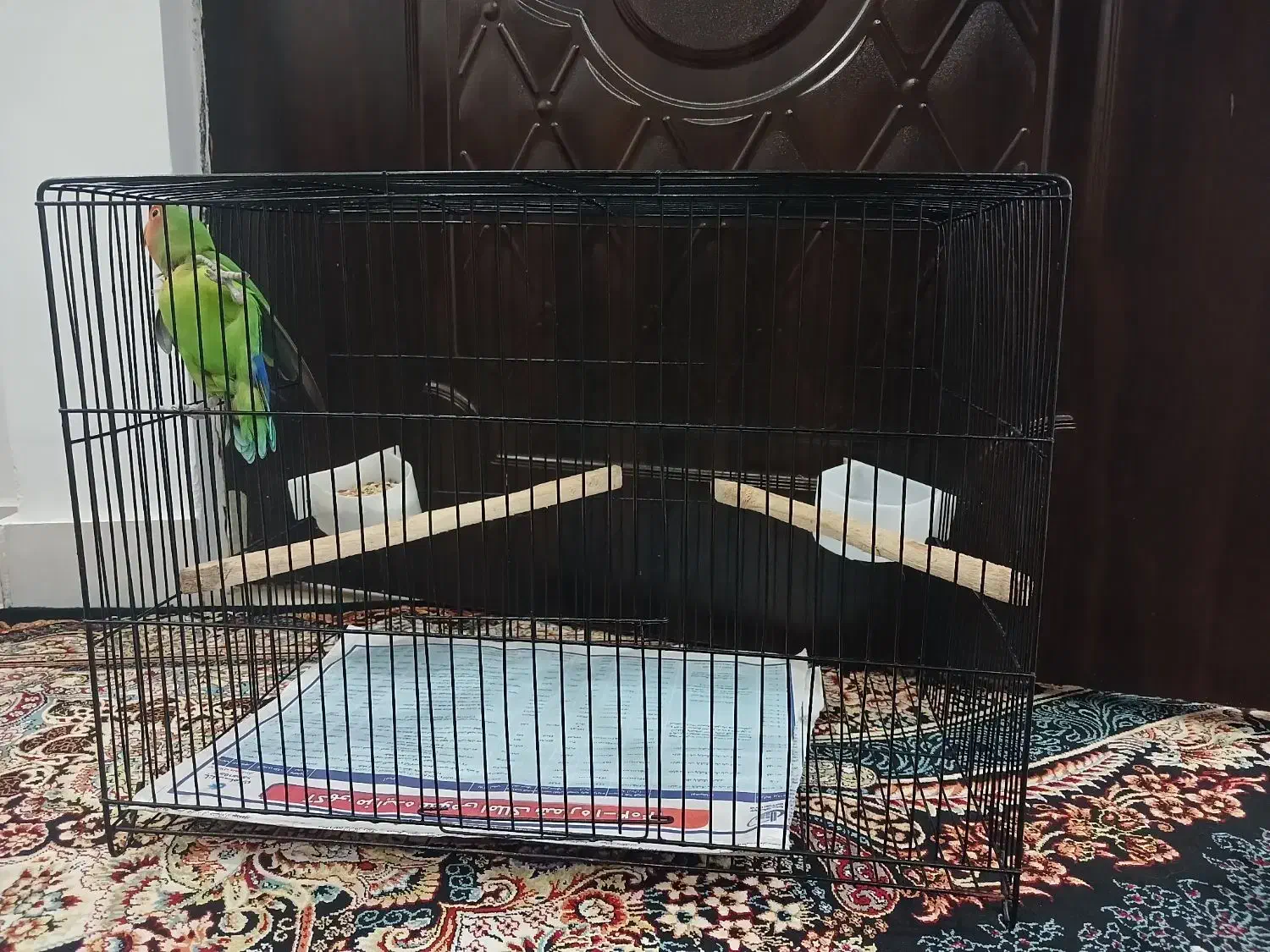 قفس مشکی بزرگ|لوازم جانبی حیوانات|رشت, حومه رشت|دیوار