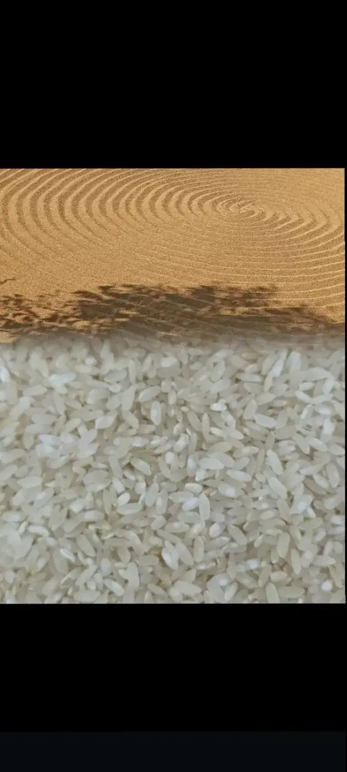 برنج کامفیروزی درجه یک به شرط پخت مال خودمون هست|خوردنی و آشامیدنی|شیراز, کوشک میدان|دیوار