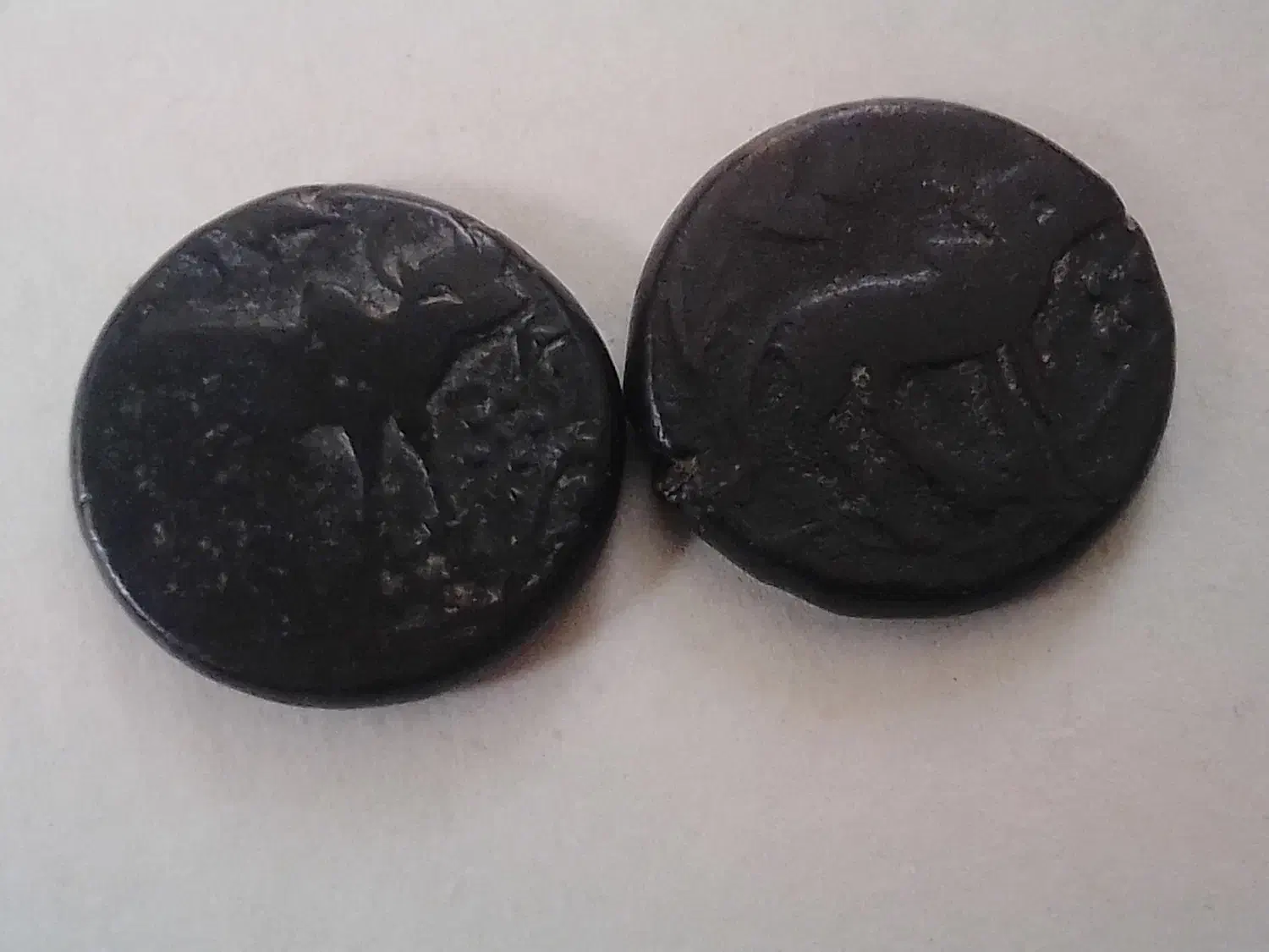 سکه سنگی|کلکسیون اشیاء عتیقه|تایباد, |دیوار