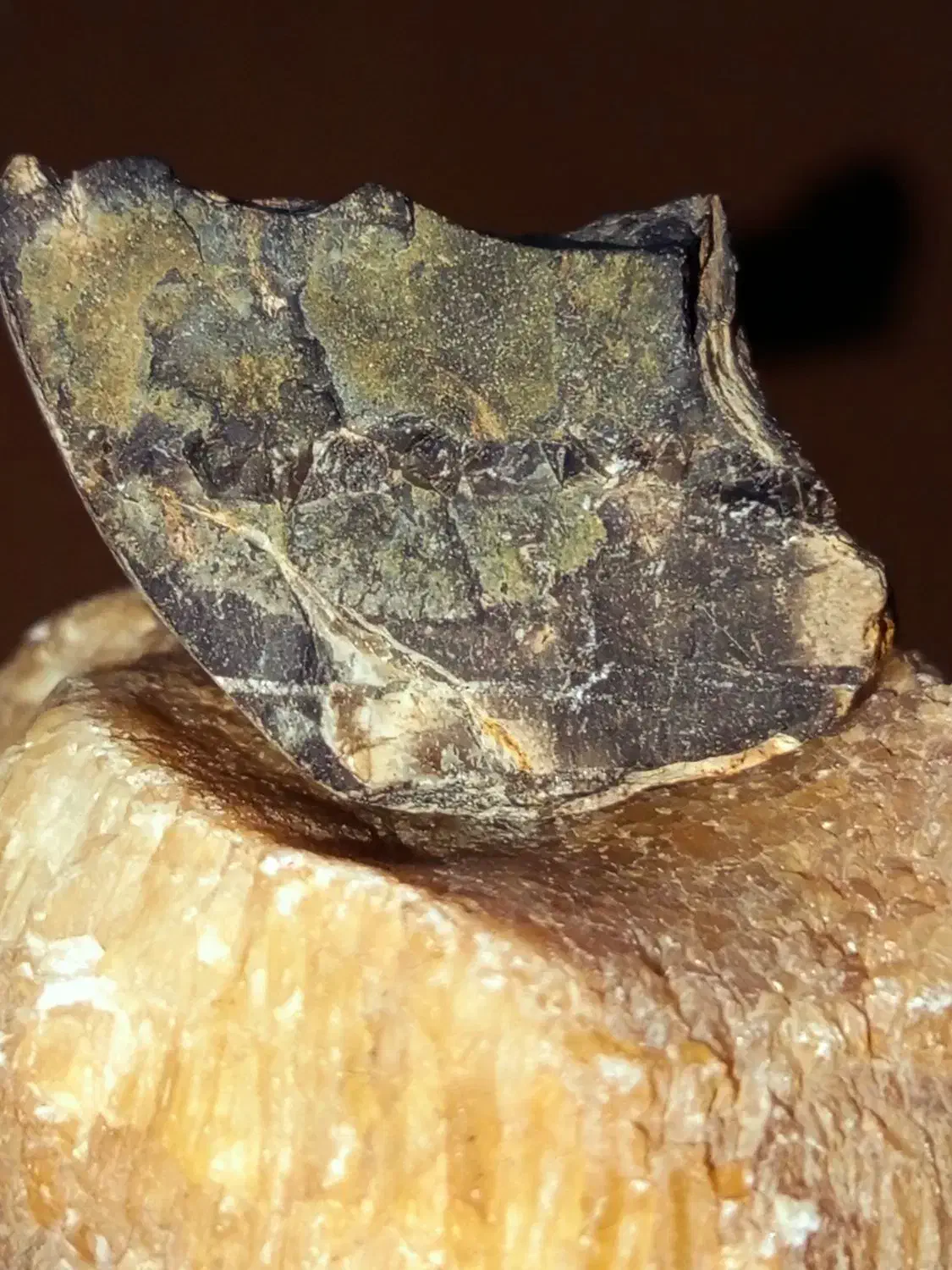 دو نمونه شهاب سنگ الماس دار الماس سیاه|کلکسیون اشیاء عتیقه|نورآباد ممسنی, |دیوار