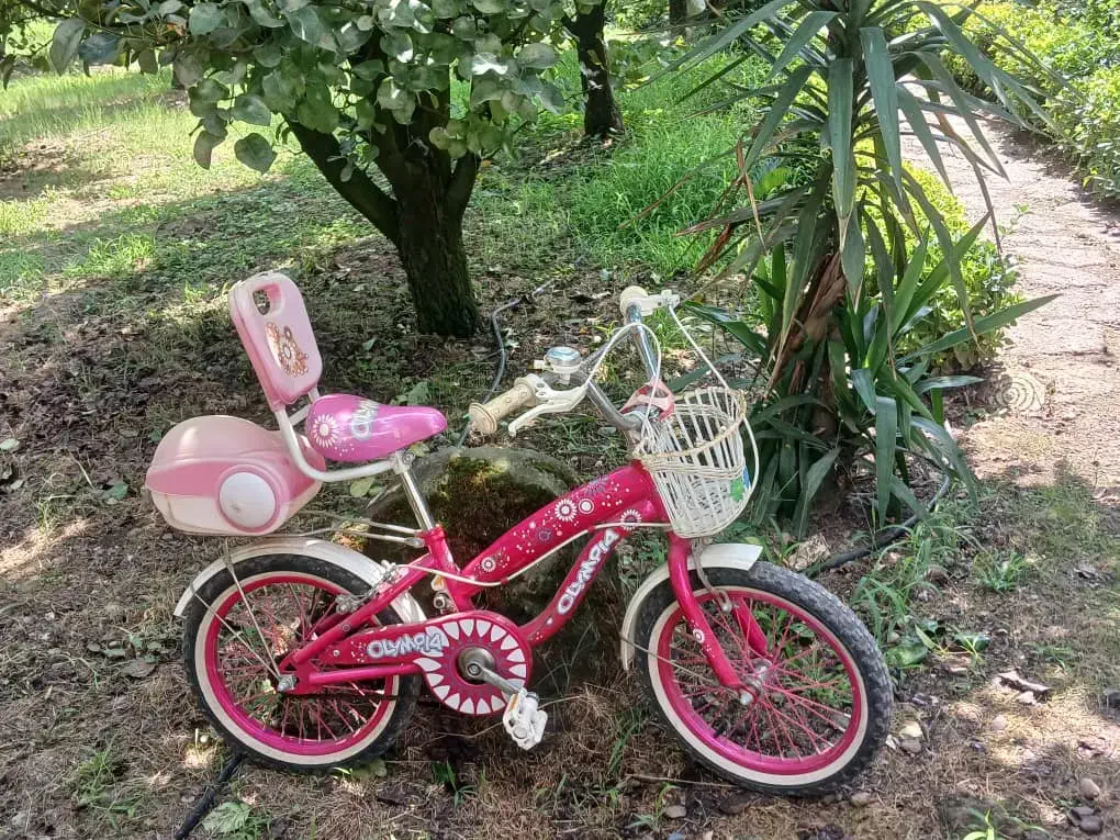 دوچرخه سایز ۱۶|دوچرخه، اسکیت، اسکوتر|رشت, انصاری|دیوار