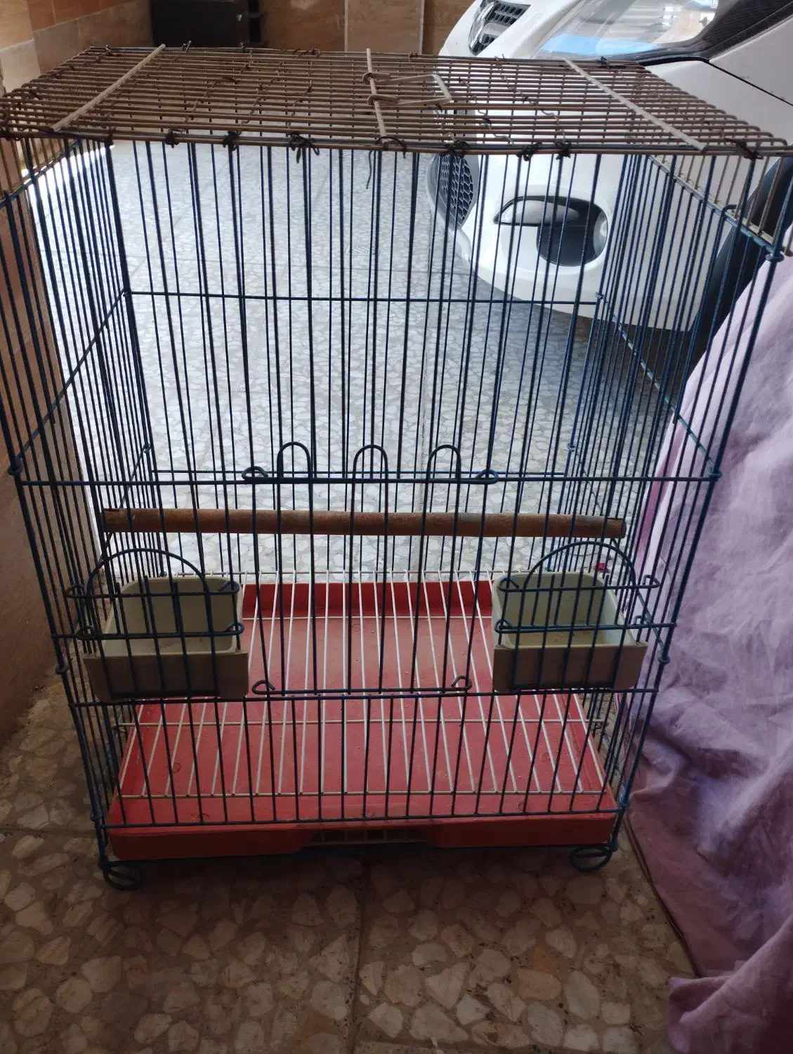 پرنده|پرنده|گرمسار, |دیوار