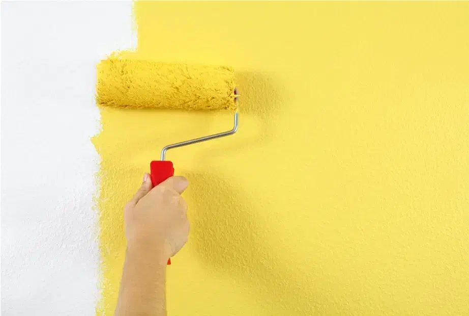 نقاشی ساختمان|خدمات پیشه و مهارت|رشت, ساغری سازان|دیوار