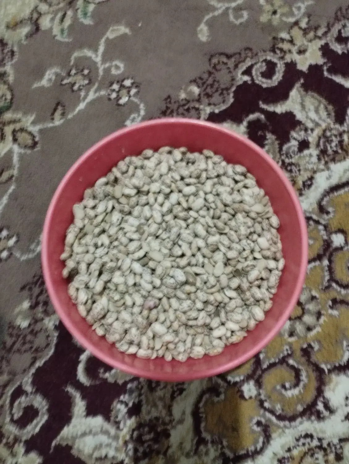 لوبیاچتی.ابلق|عمده‌فروشی|معمولان, |دیوار