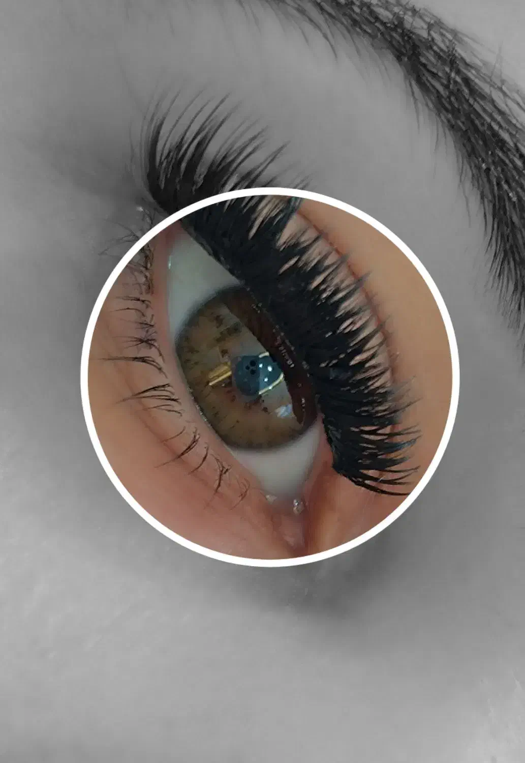 کاشت مژه حرفه ای با قیمت مناسب|خدمات آرایشگری و زیبایی|تهران, فدک|دیوار