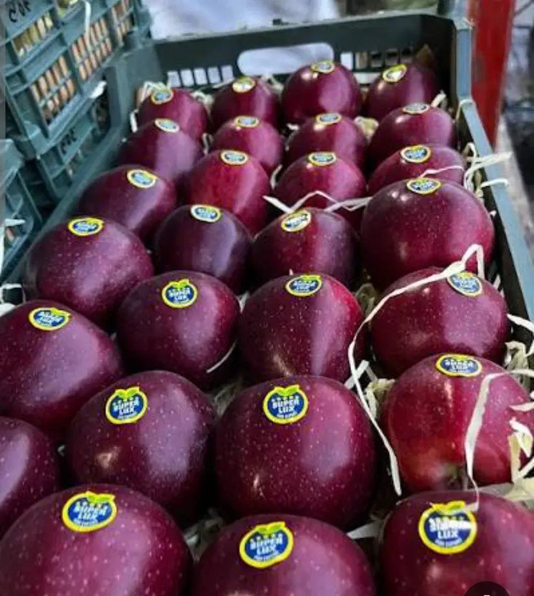 استخدام خانم در سورتینگ|استخدام صنعتی، فنی، مهندسی|مهاباد (آذربایجان غربی), |دیوار