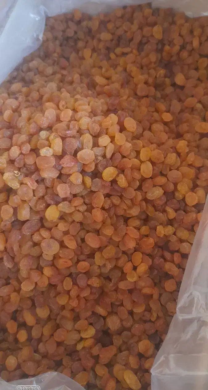 کشمش پلویی بادمجون شور عناب ادویه عرقیات سبزی|خوردنی و آشامیدنی|نیشابور, فضل|دیوار