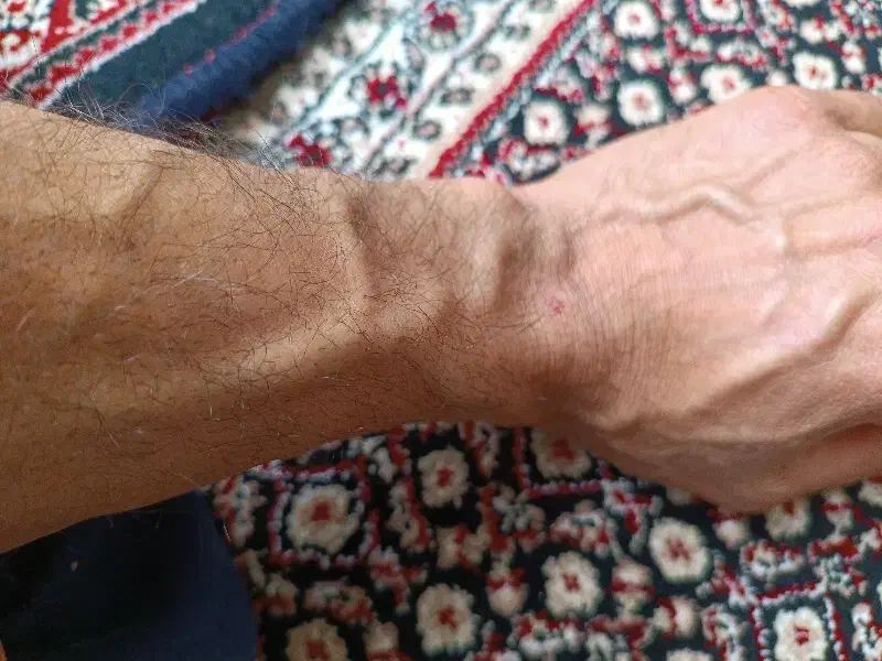 راهنمایی|فعالیت داوطلبانه|سنندج, |دیوار