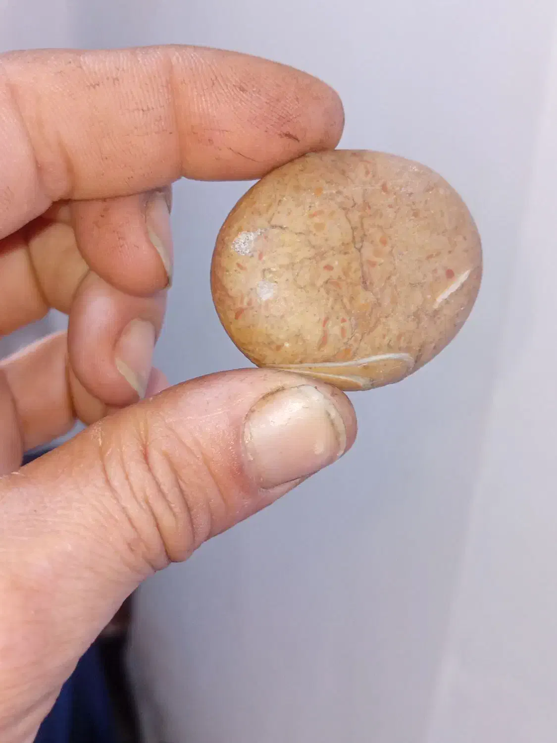 سنگهای باستانی خیلی دورتراز قرن ها|کلکسیون اشیاء عتیقه|رشت, فرودگاه سردار جنگل رشت|دیوار