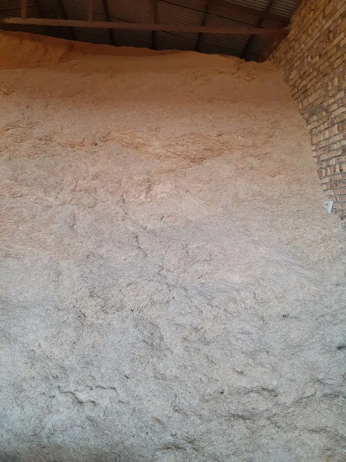 کاه گندم|لوازم جانبی حیوانات|بزینه رود, |دیوار