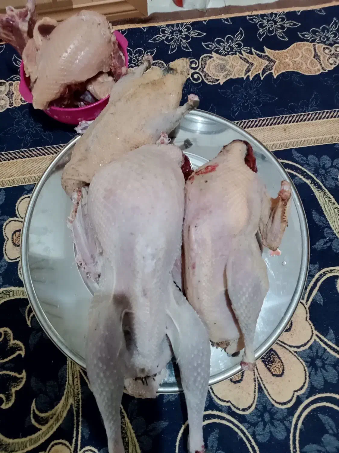 غازوبوقلمون ارگانیک هرکس خواست پیام بذارد|حیوانات مزرعه|اشنویه, |دیوار