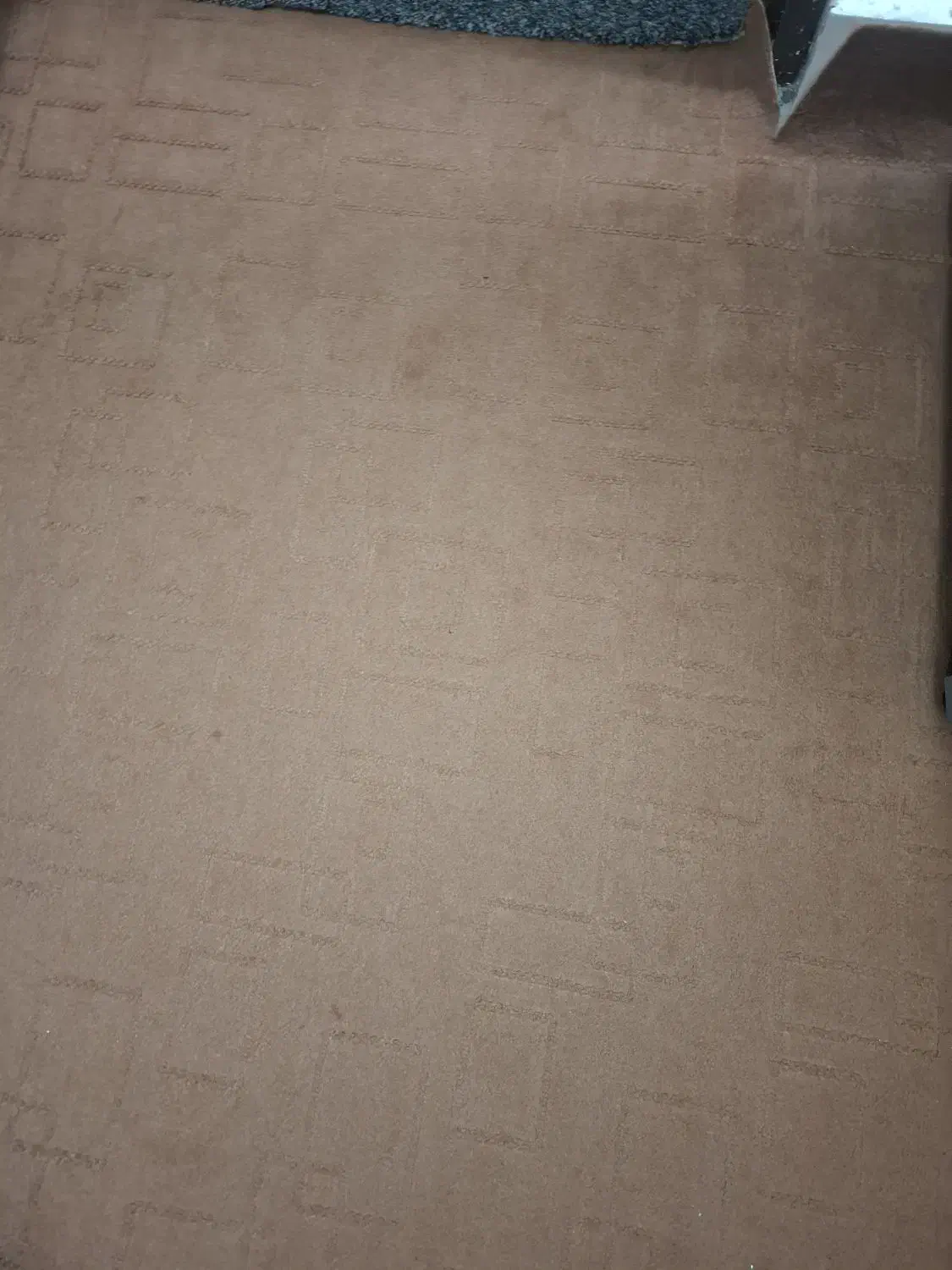 موکت|موکت|بندر گناوه, |دیوار