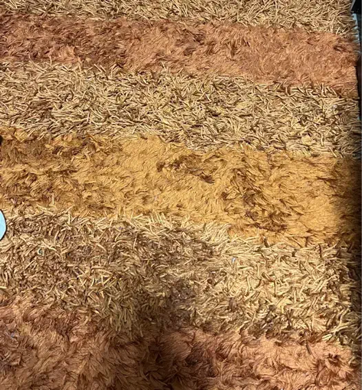 فرش|فرش|تهران, دریا|دیوار