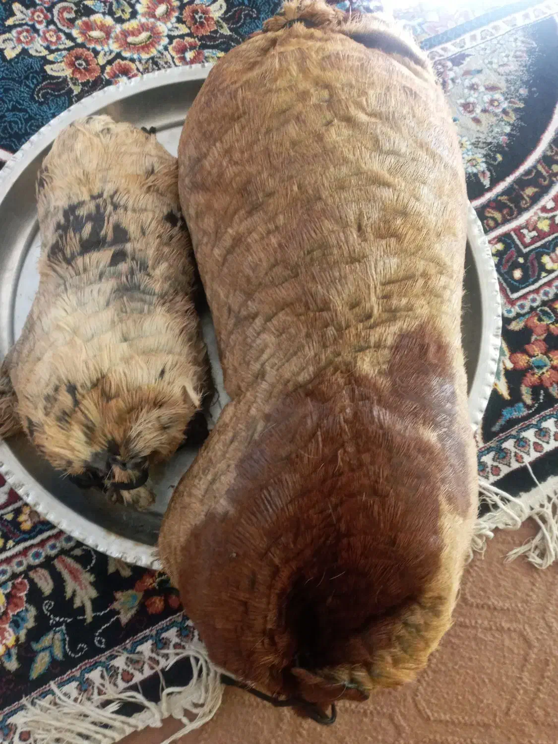 خیگ جا روغن|ظروف نگهدارنده، پلاستیکی، یک‌بارمصرف|شوشتر, |دیوار