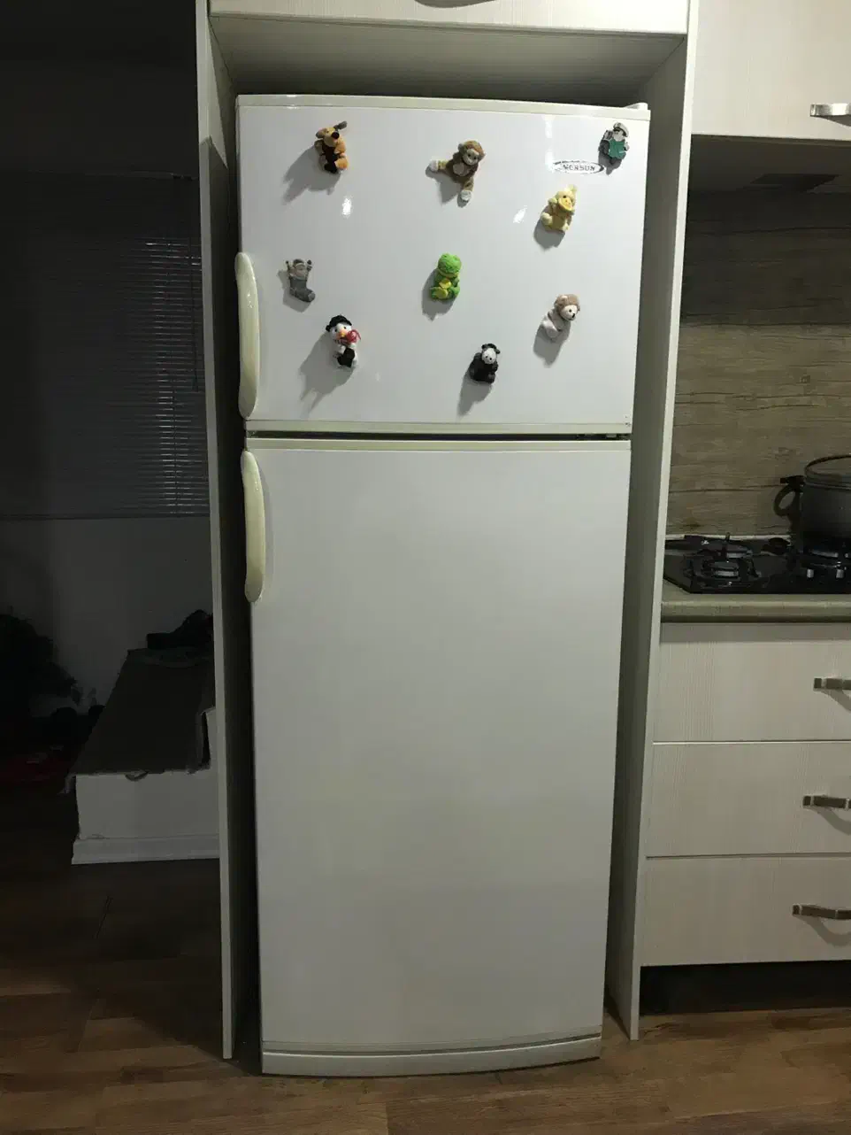 یخچال فریزرامرسان|یخچال و فریزر|چمستان, |دیوار