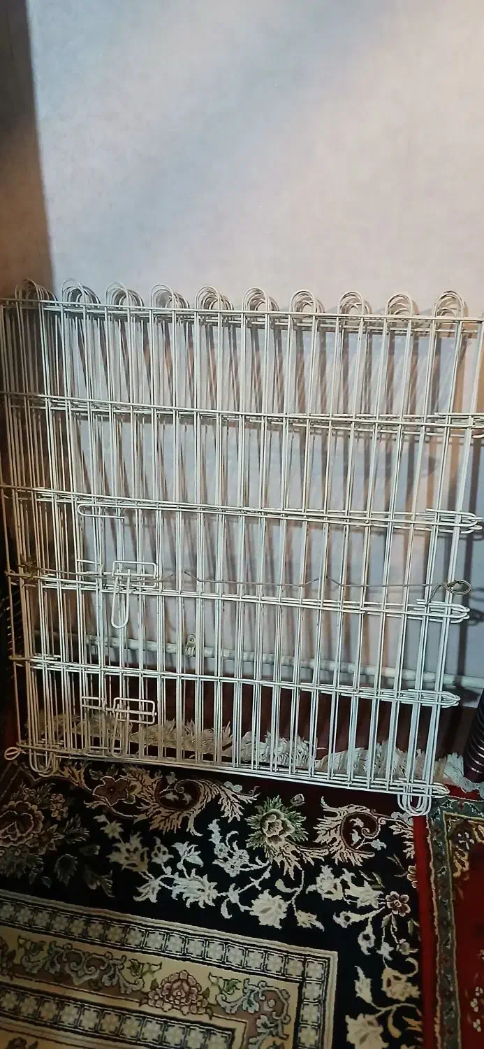 لوازم پت باکس|لوازم جانبی حیوانات|کرج, حصار سرجوب|دیوار