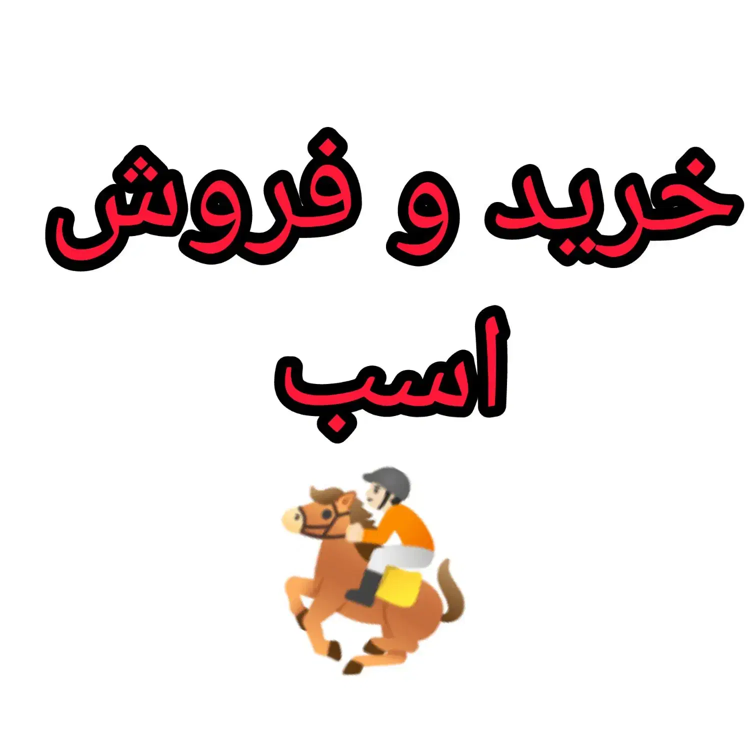 فقط برای خرید اسب زنگ بزنید لطفاً|اسب و تجهیزات اسب‌سواری|شیراز, گویم|دیوار