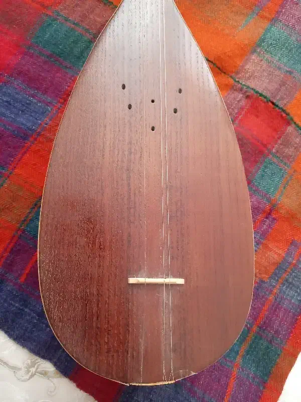 تنبور ترکه ایی پیام|سازهای سنتی|کرمانشاه, |دیوار