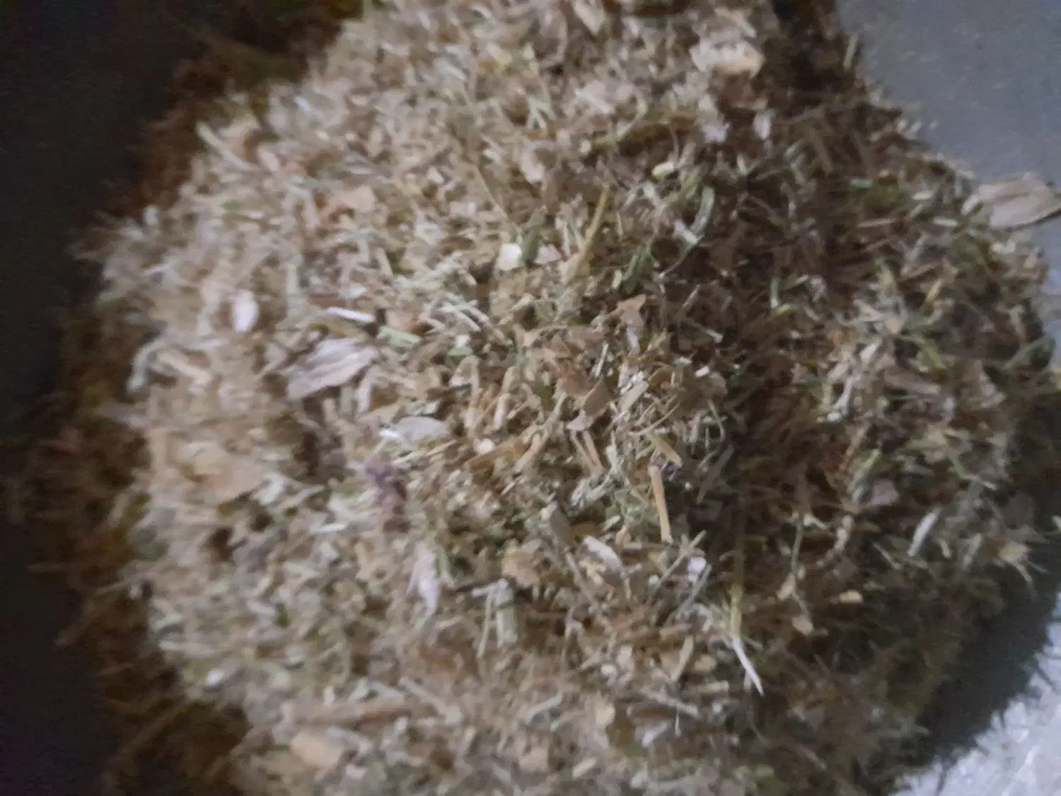 کاه لوبیاچیتی|لوازم جانبی حیوانات|لاران, |دیوار