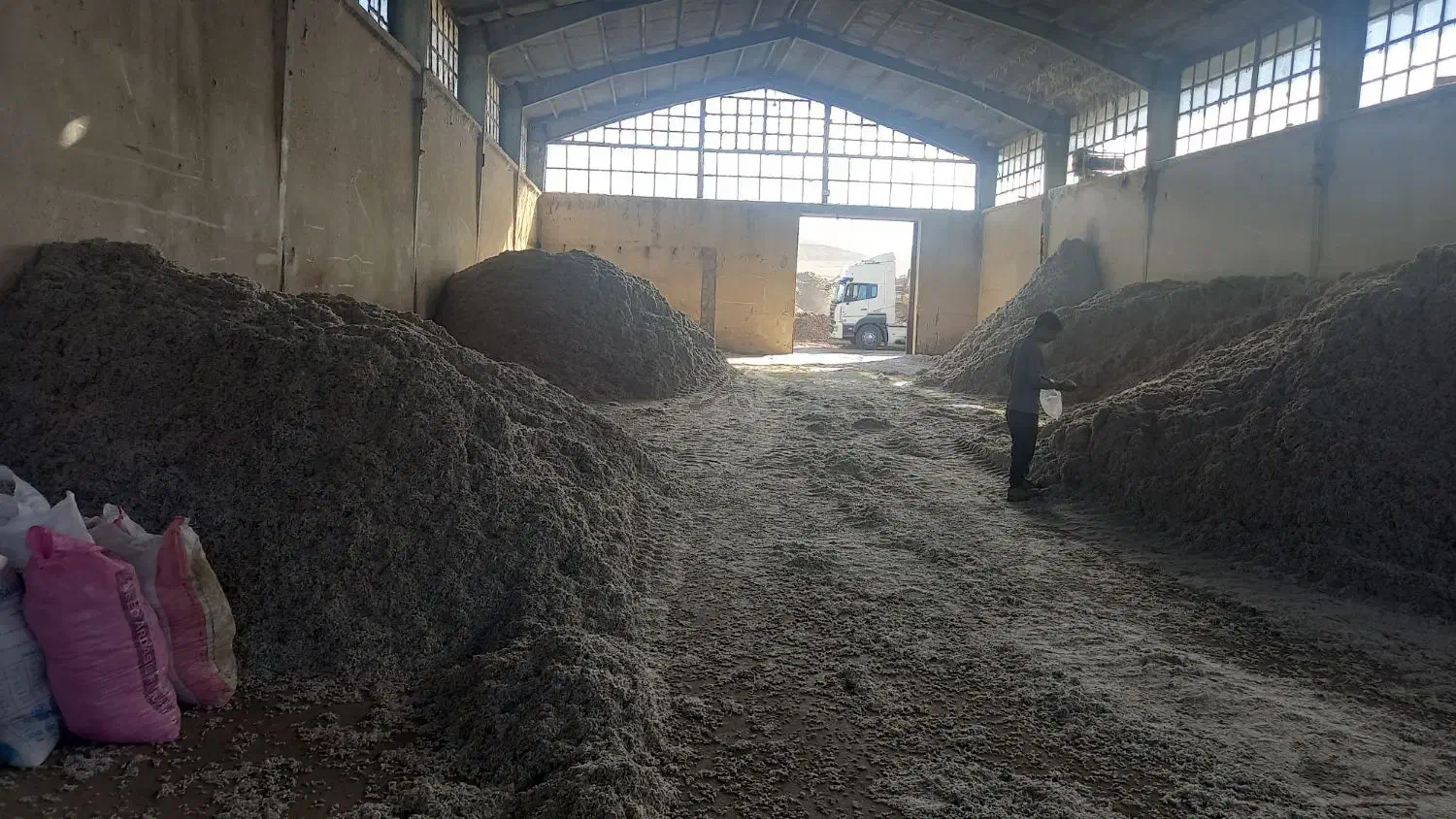 دانه پنبه و غوزه و کچاله برای خوراک دام اردبیل|عمده‌فروشی|زرندیه, |دیوار