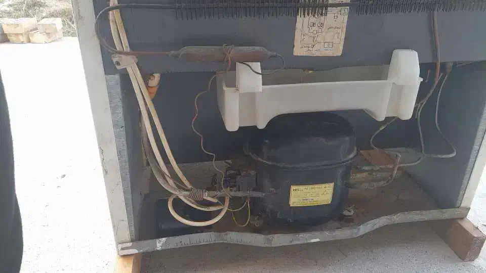 یخچال فلیزر فیلور|یخچال و فریزر|گنبد کاووس, |دیوار