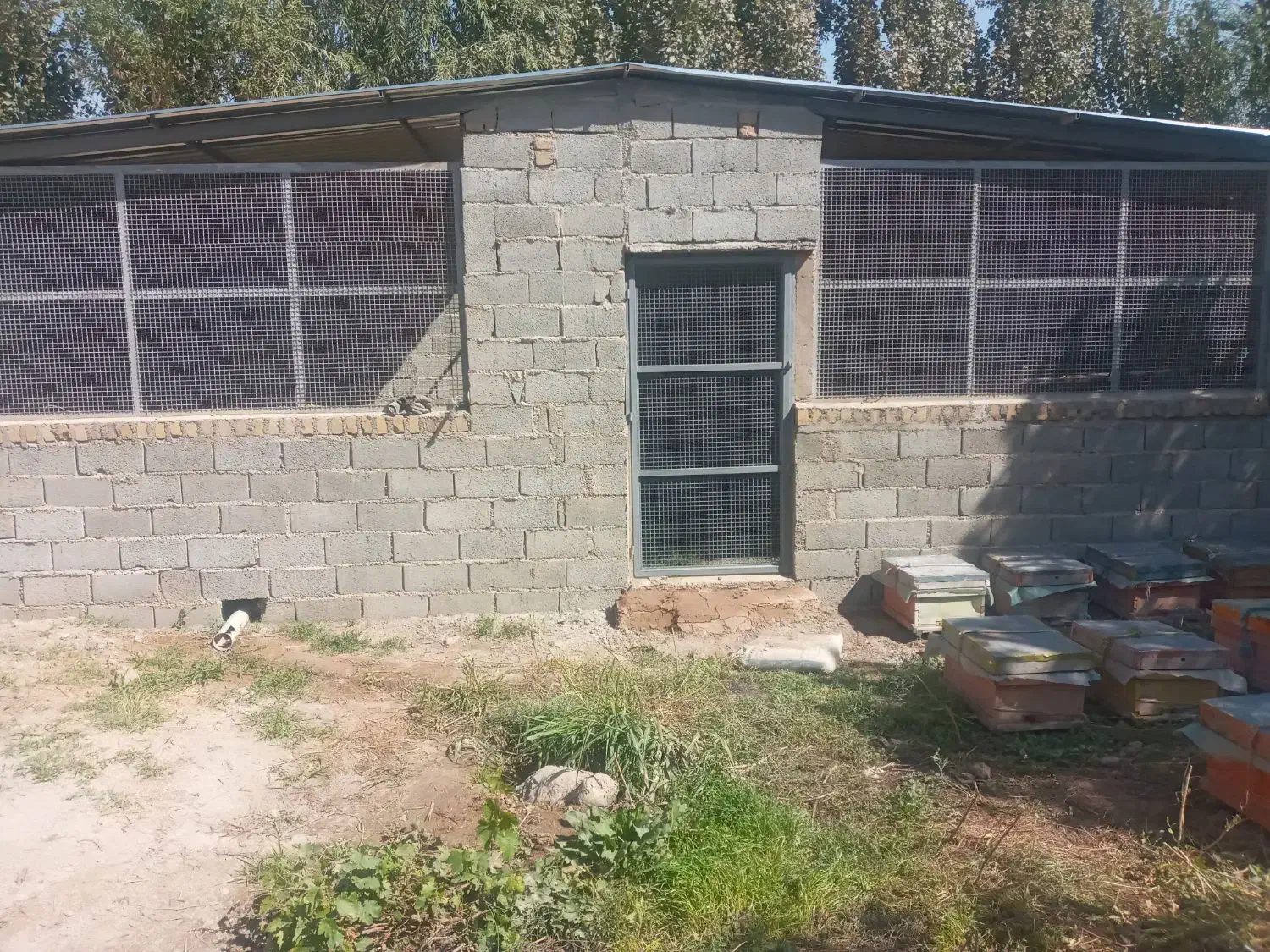 دامداری آماده مشارکت|مشارکت در ساخت املاک|هشتگرد, هشتگرد قدیم|دیوار