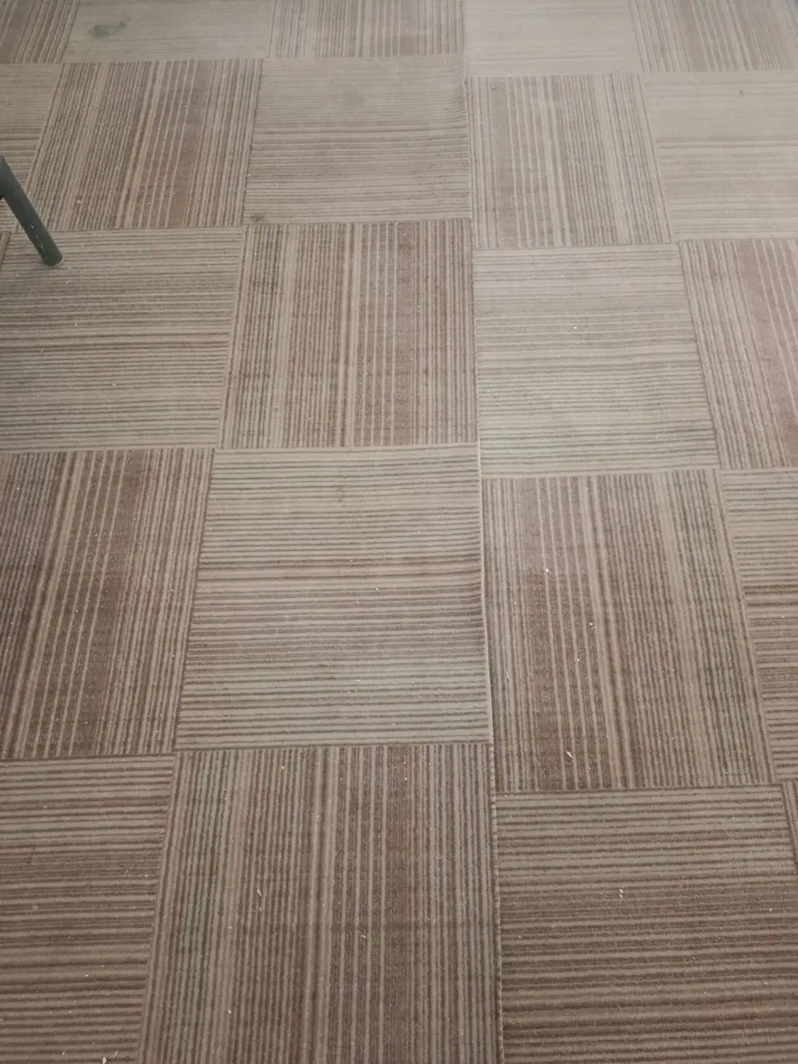 موکت نو|موکت|بجنورد, |دیوار