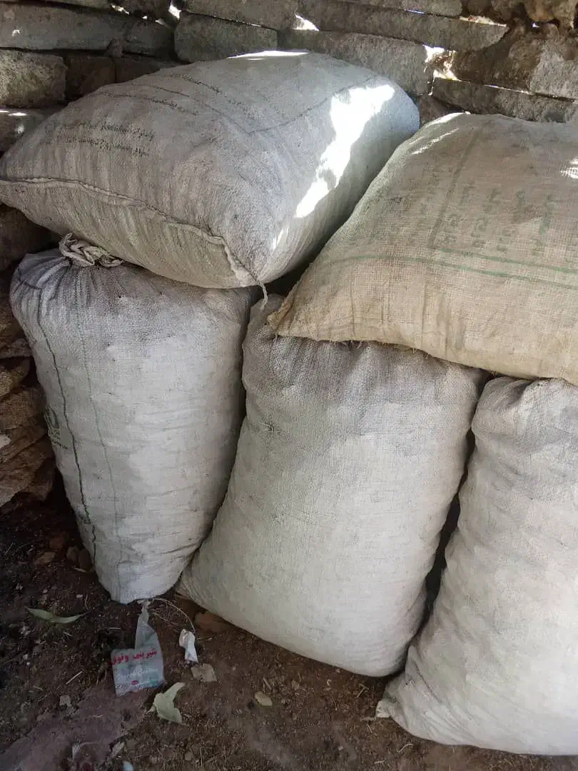 زغال کبابی  ۶۵۰|کوهنوردی و کمپینگ|ایذه, |دیوار