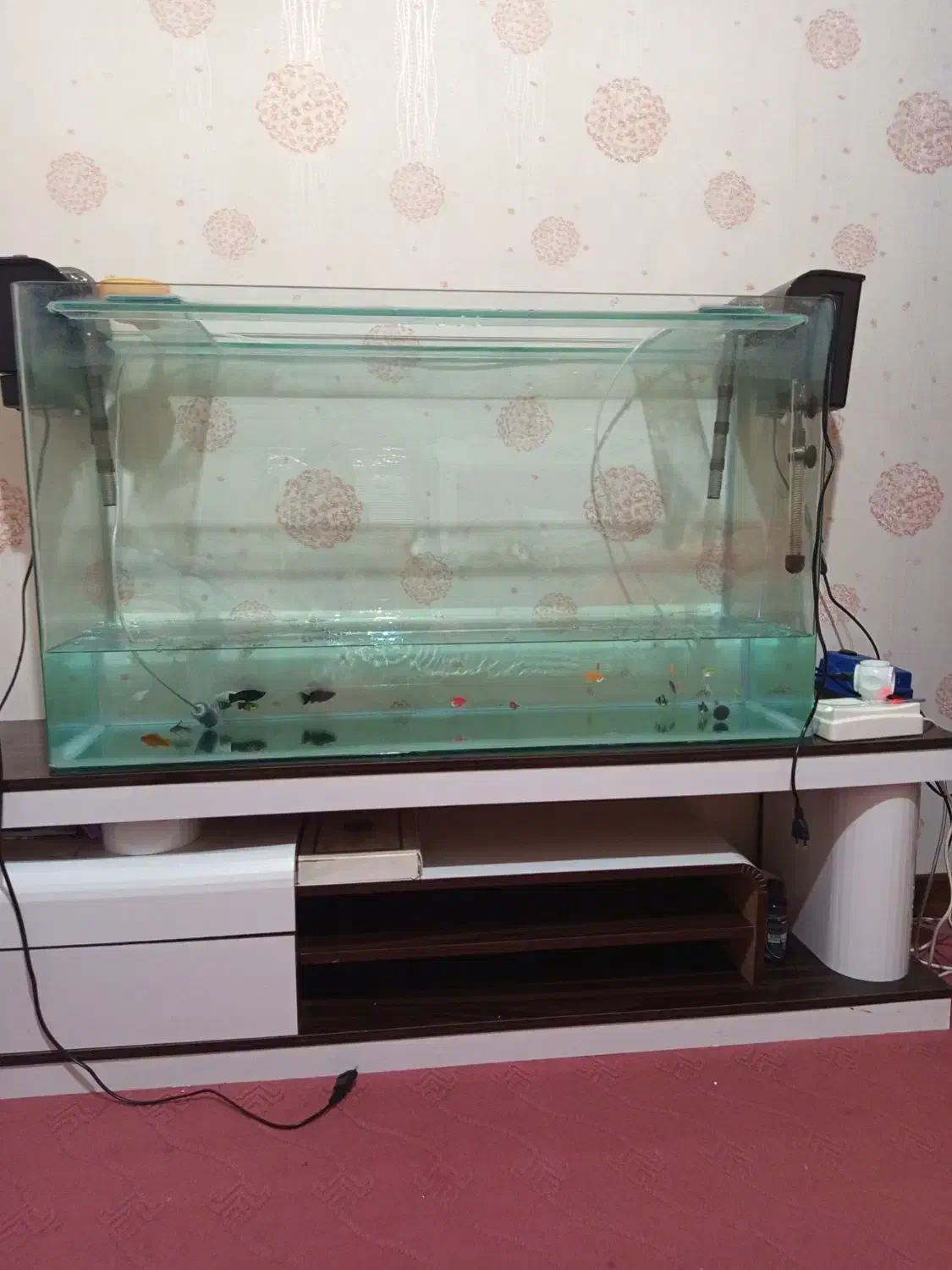 آکواریوم با تمام تجهیزات و قیمت مناسب|ماهی|بندرعباس, |دیوار