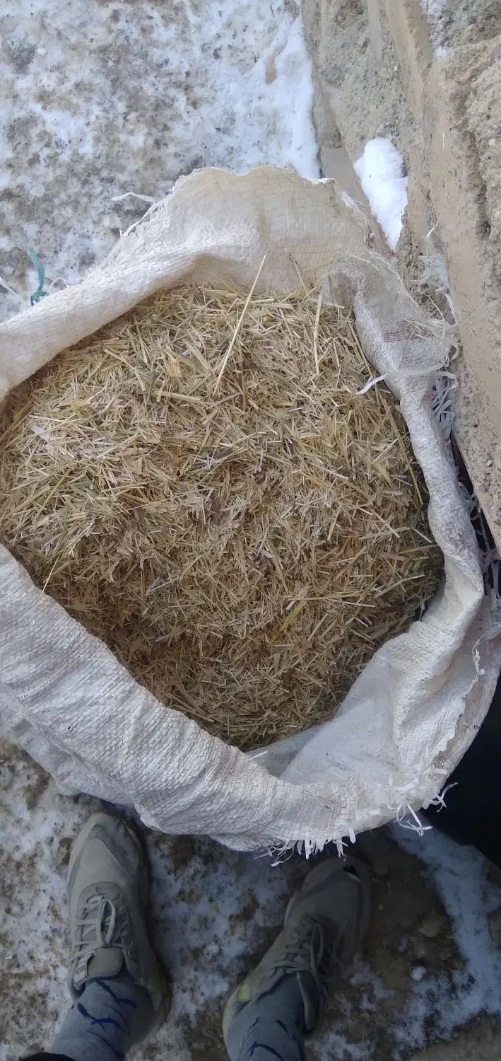 کاه زرد|لوازم جانبی حیوانات|باوله, |دیوار