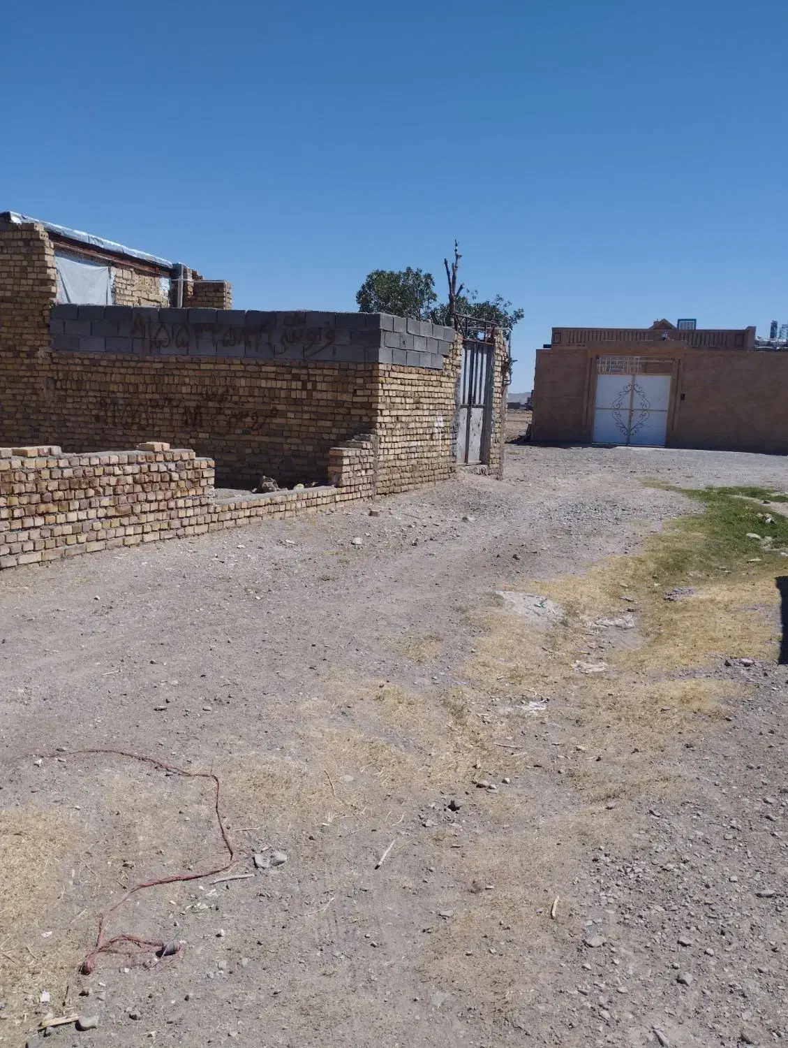 فروش زمین|فروش زمین و ملک کلنگی|تربتحیدریه, ترمینال|دیوار