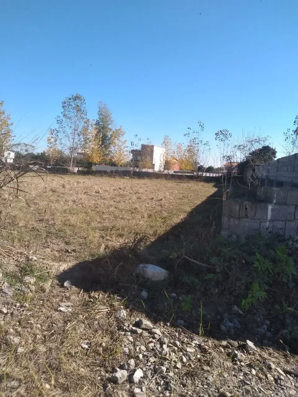 ۲۳۵ متر زمین ، شهرک|فروش زمین و ملک کلنگی|دابودشت, |دیوار