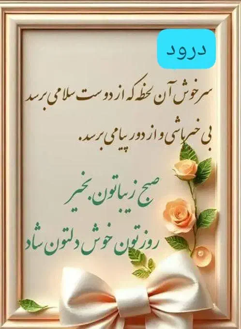 راهنمایی|فعالیت داوطلبانه|شیراز, شاهچراغ|دیوار