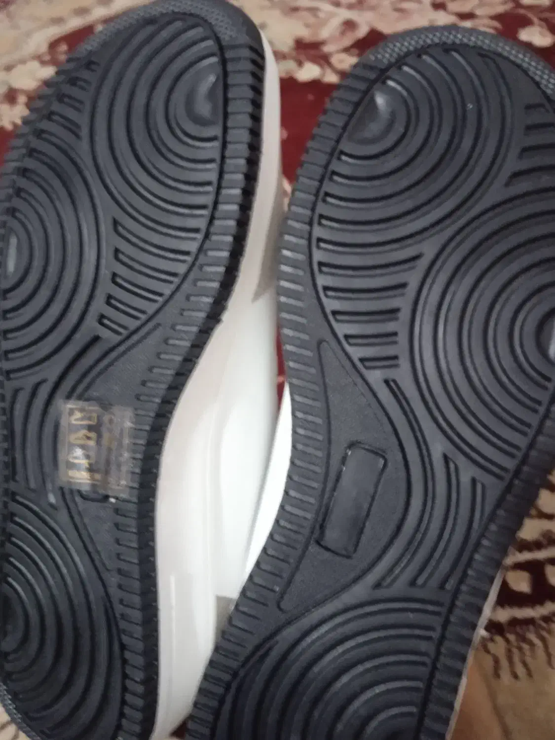 کتونی|کیف، کفش، کمربند|قنوات, |دیوار