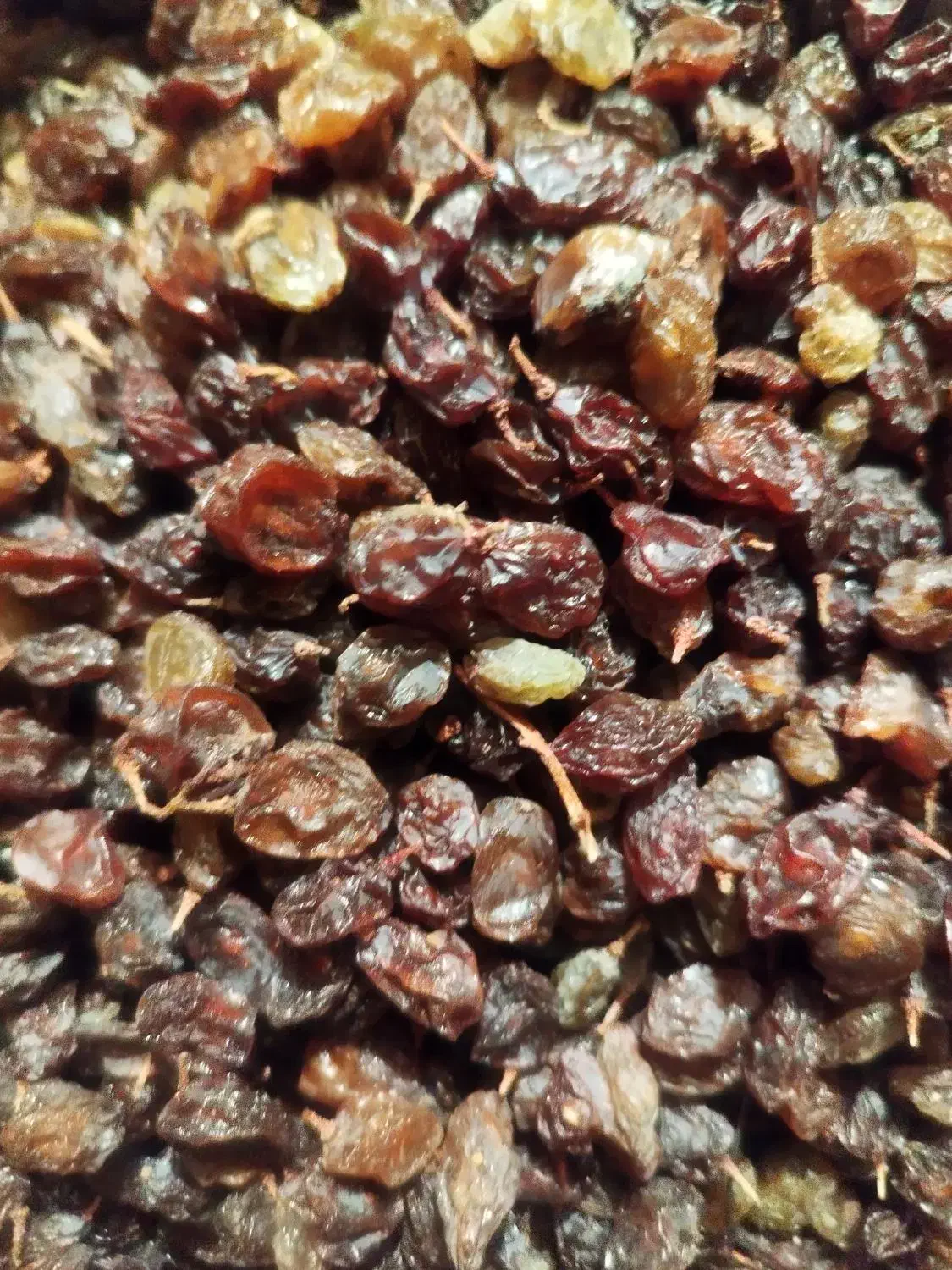 کشمش آفتابی اعلا|خوردنی و آشامیدنی|فرخشهر, |دیوار