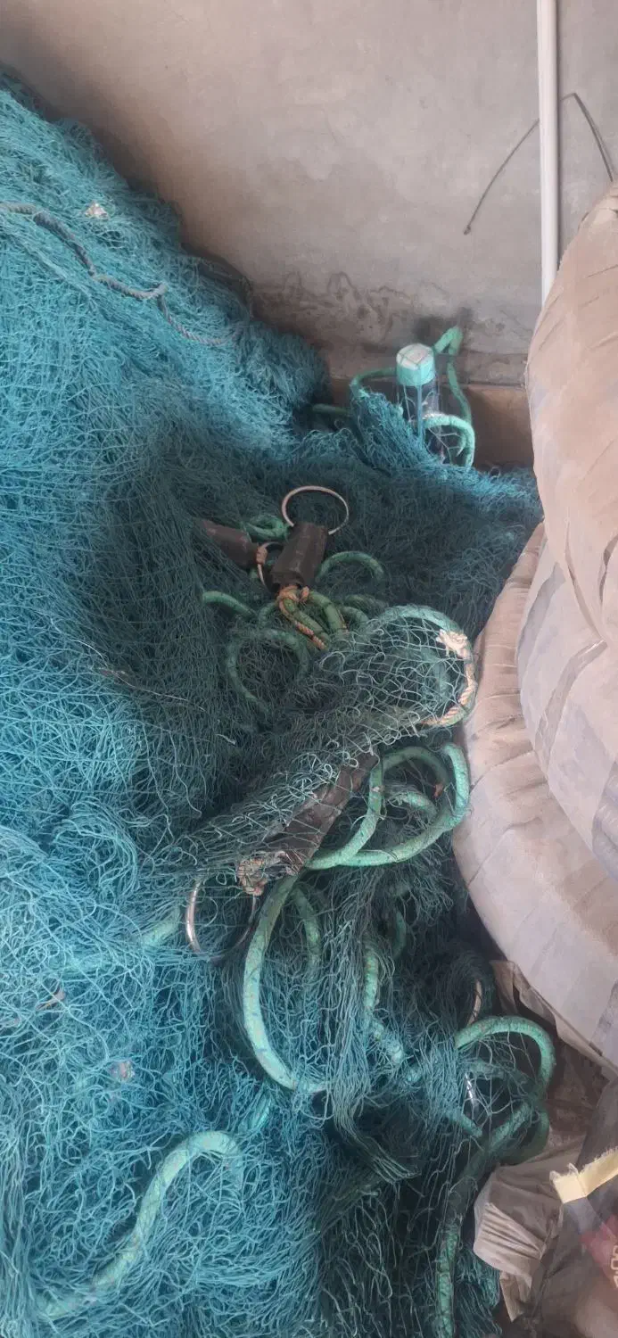 تور پرسان کره ای|ماهیگیری|بندرعباس, |دیوار