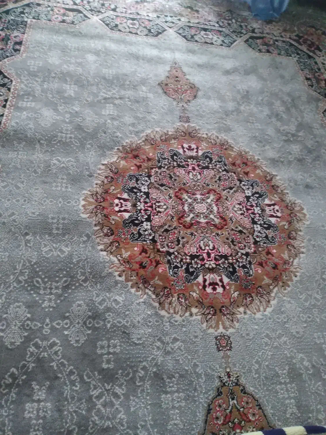 قالی|فرش|رفسنجان, |دیوار