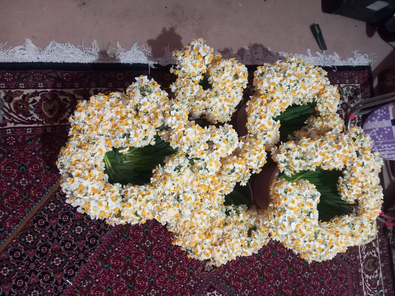 گل نرگس|گل و گیاه طبیعی|معمولان, |دیوار