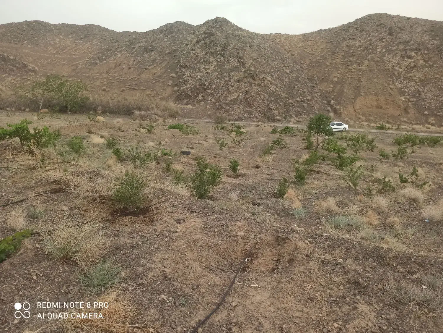 باغ روبروی هویزار ۱۸۰۰ متر|فروش دفتر صنعتی، کشاورزی، تجاری|سبزوار, قصبه شرقی|دیوار