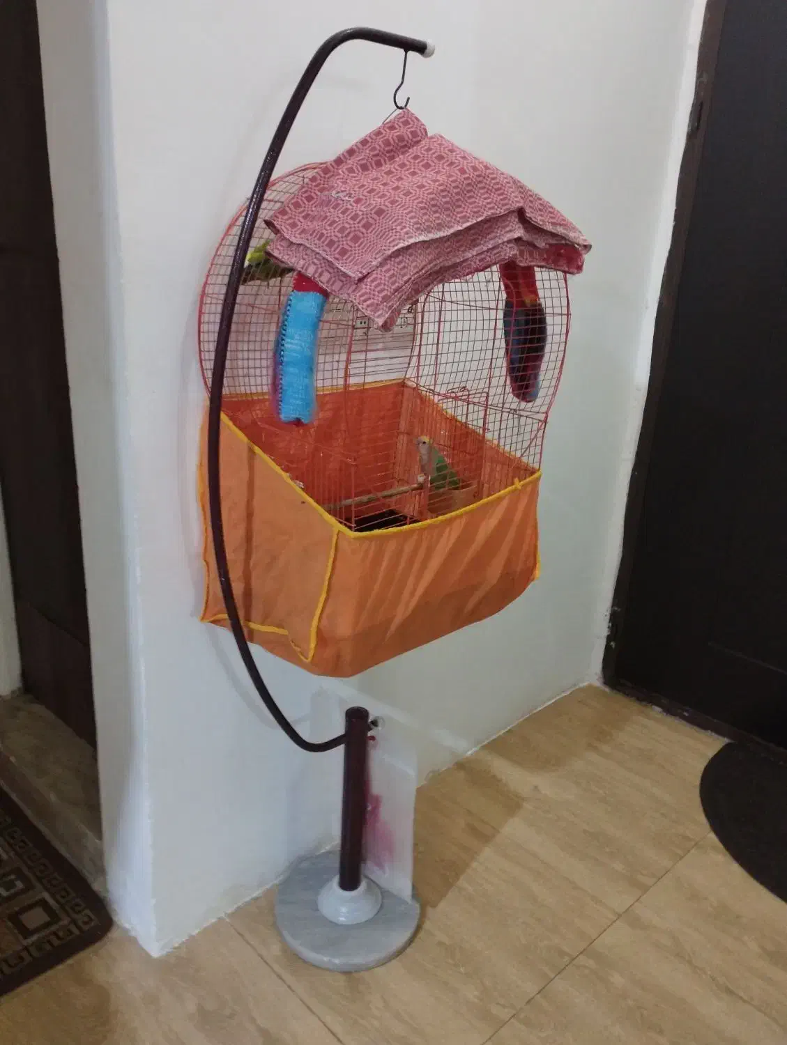 به دلیل مهاجرت|پرنده|قائم‌شهر, |دیوار